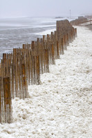 Sea Foam and Sea Fence