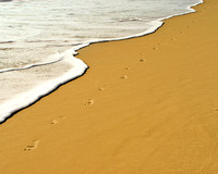 Footprints Delaware