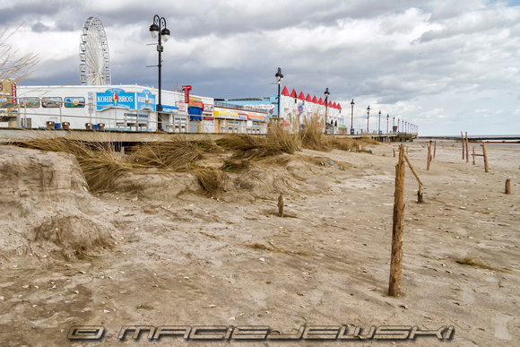 Massive Beach Erosion, Sand Dune Destroyed